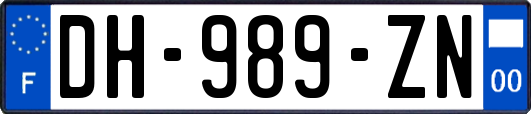 DH-989-ZN