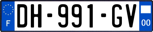 DH-991-GV