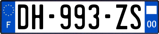 DH-993-ZS