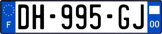 DH-995-GJ