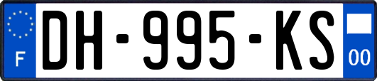 DH-995-KS