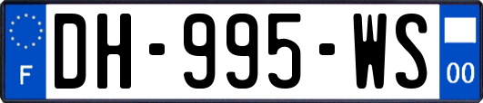 DH-995-WS