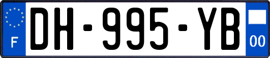 DH-995-YB