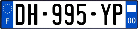 DH-995-YP