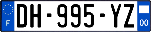 DH-995-YZ