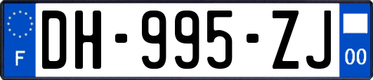 DH-995-ZJ