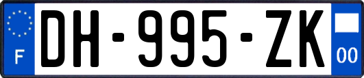 DH-995-ZK