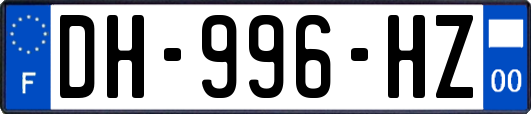 DH-996-HZ