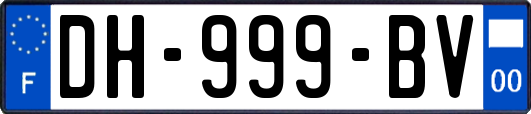 DH-999-BV