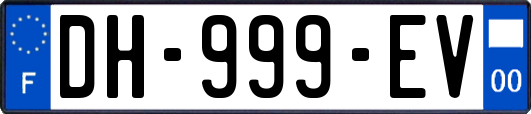 DH-999-EV