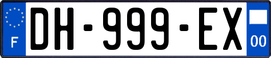 DH-999-EX