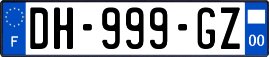 DH-999-GZ