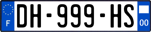 DH-999-HS