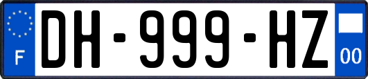 DH-999-HZ