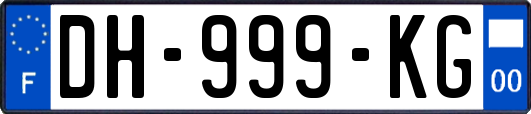 DH-999-KG