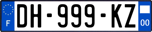 DH-999-KZ