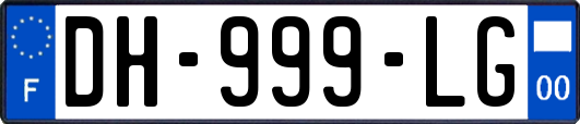 DH-999-LG