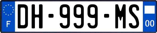 DH-999-MS