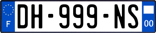 DH-999-NS