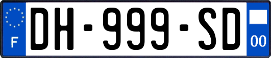 DH-999-SD