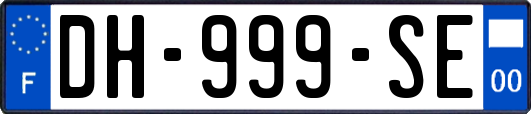 DH-999-SE