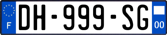 DH-999-SG