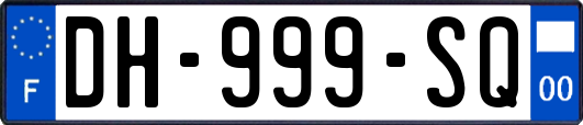 DH-999-SQ