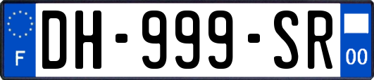 DH-999-SR