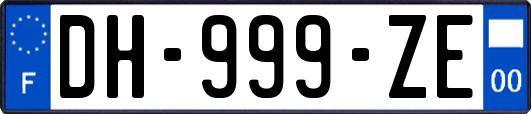 DH-999-ZE