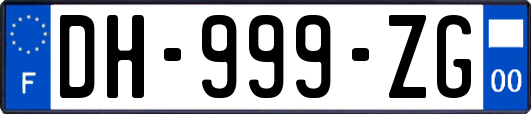 DH-999-ZG