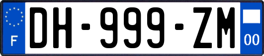 DH-999-ZM