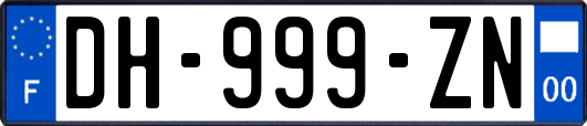 DH-999-ZN