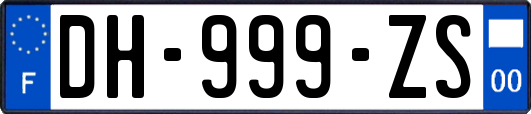 DH-999-ZS