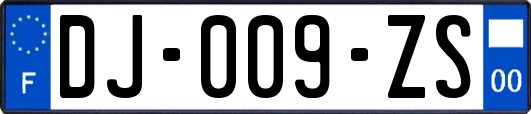 DJ-009-ZS