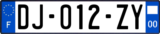 DJ-012-ZY