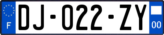 DJ-022-ZY