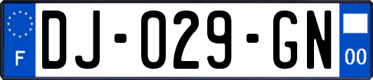 DJ-029-GN