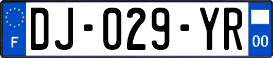 DJ-029-YR