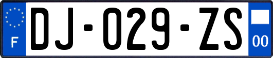 DJ-029-ZS
