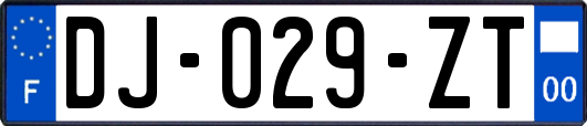 DJ-029-ZT