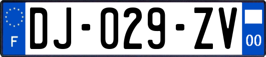 DJ-029-ZV