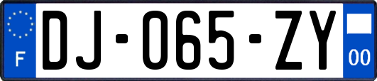 DJ-065-ZY