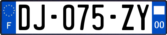 DJ-075-ZY