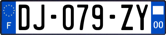 DJ-079-ZY