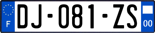 DJ-081-ZS