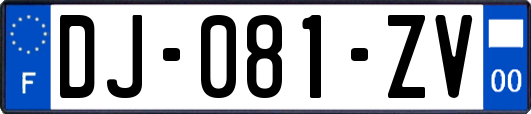 DJ-081-ZV
