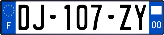 DJ-107-ZY