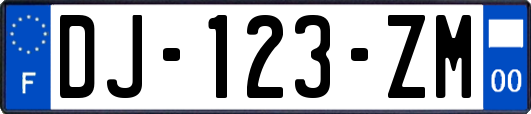 DJ-123-ZM