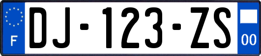 DJ-123-ZS