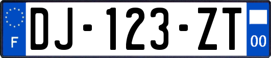 DJ-123-ZT